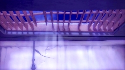 لاروا (فصل 1 - قسمت 174)